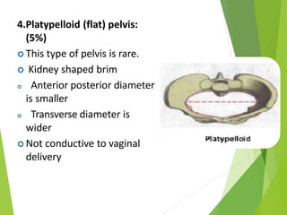 4.Platypelloid (flat) pelvis:
(5%)
 This type of pelvis is rare.
 Kidney shaped brim
 Anterior posterior diameter
is smaller
 Transverse diameter is
wider
 Not conductive to vaginal
delivery
 