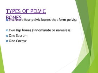 TYPES OF PELVIC
BONES
 There are four pelvic bones that form pelvis:
 Two Hip bones (Innominate or nameless)
 One Sacrum
 One Coccyx
 