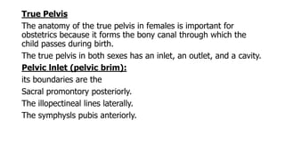 True Pelvis
The anatomy of the true pelvis in females is important for
obstetrics because it forms the bony canal through which the
child passes during birth.
The true pelvis in both sexes has an inlet, an outlet, and a cavity.
Pelvic lnlet (pelvic brim):
its boundaries are the
Sacral promontory posteriorly.
The illopectineal lines laterally.
The symphysls pubis anteriorly.
 