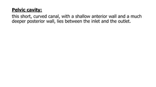 Pelvic cavity:
this short, curved canal, with a shallow anterior wall and a much
deeper posterior wall, lies between the inlet and the outlet.
 