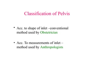Pelvis.anatomy and types and diameters of pelvis | PPTX