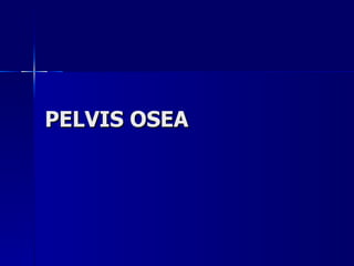 PELVIS OSEA 