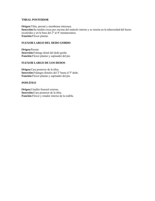 TIBIAL POSTERIOR

Origen:Tibia, peroné y membrana interosea.
Inserción:Su tendón cruza por encima del maleolo interno y se inserta en la tuberosidad del hueso
escafoides y en la base del 2º al 4º metatarsianos.
Función:Flexor plantar.

FLEXOR LARGO DEL DEDO GORDO

Origen:Peroné.
Inserción:Falange distal del dedo gordo.
Función:Flexor plantar y supinador del pie.

FLEXOR LARGO DE LOS DEDOS

Origen:Cara posterior de la tibia.
Inserción:Falanges distales del 2º hasta el 5º dedo.
Función:Flexor plantar y supinador del pie.

POPLÍTEO

Origen:Cóndilo femoral externo.
Inserción:Cara posterior de la tibia.
Función:Flexor y rotador interno de la rodilla.
 