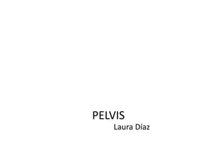 PELVIS
Laura Díaz
 