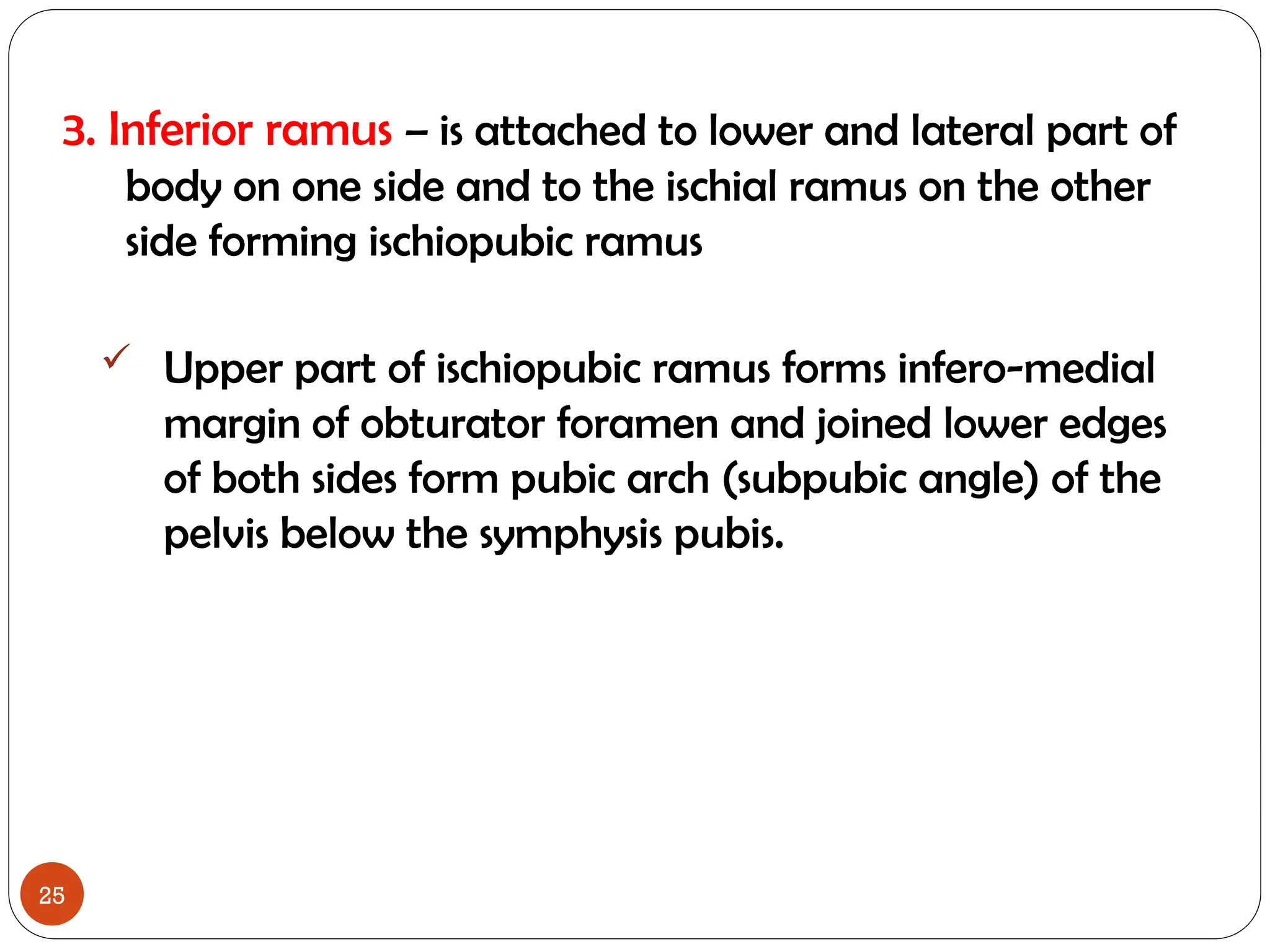 Define Ramus Pelvis Anatomy of female and male humans | PPT
