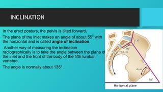 Measuring Inclination pelvis and cpd (1).pptx.................. | PPTX