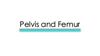 Pelvis and Femur
 