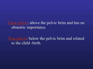 False pelvis: above the pelvic brim and has no
obstetric importance.
True pelvis: below the pelvic brim and related
to the child -birth.
 