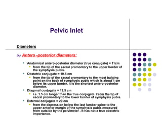 Pelvic Inlet
Diameters
(A) Antero -posterior diameters:
 Anatomical antero-posterior diameter (true conjugate) = 11cm
 from the tip of the sacral promontory to the upper border of
the symphysis pubis.
 Obstetric conjugate = 10.5 cm
 from the tip of the sacral promontory to the most bulging
point on the back of symphysis pubis which is about 1 cm
below its upper border. It is the shortest antero-posterior
diameter.
 Diagonal conjugate = 12.5 cm
 i.e. 1.5 cm longer than the true conjugate. From the tip of
sacral promontory to the lower border of symphysis pubis.
 External conjugate = 20 cm
 from the depression below the last lumbar spine to the
upper anterior margin of the symphysis pubis measured
from outside by the pelvimeter . It has not a true obstetric
importance.
 