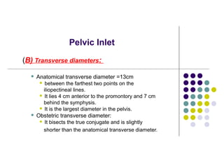 Pelvic Inlet
(B) Transverse diameters:
 Anatomical transverse diameter =13cm
 between the farthest two points on the
iliopectineal lines.
 It lies 4 cm anterior to the promontory and 7 cm
behind the symphysis.
 It is the largest diameter in the pelvis.
 Obstetric transverse diameter:
 It bisects the true conjugate and is slightly
shorter than the anatomical transverse diameter.
 