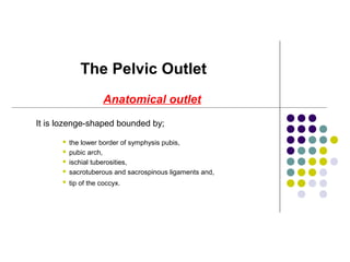 Anatomical outlet
It is lozenge-shaped bounded by;
 the lower border of symphysis pubis,
 pubic arch,
 ischial tuberosities,
 sacrotuberous and sacrospinous ligaments and,
 tip of the coccyx.
The Pelvic Outlet
 