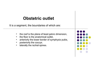 It is a segment, the boundaries of which are:
Obstetric outlet
• the roof is the plane of least pelvic dimension,
• the floor is the anatomical outlet,
• anteriorly the lower border of symphysis pubis,
• posteriorly the coccyx.
• laterally the ischial spines.
 