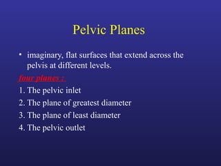 Pelvic Planes
• imaginary, flat surfaces that extend across the
pelvis at different levels.
four planes :
1. The pelvic inlet
2. The plane of greatest diameter
3. The plane of least diameter
4. The pelvic outlet
 