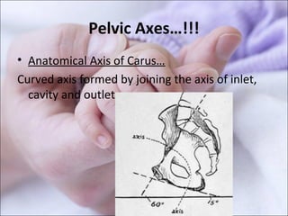 Pelvic Axes…!!!
• Anatomical Axis of Carus…
Curved axis formed by joining the axis of inlet,
cavity and outlet.
 