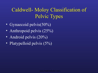 Caldwell- Moloy Classification of
Pelvic Types
• Gynaecoid pelvis(50%)
• Anthropoid pelvis (25%)
• Android pelvis (20%)
• Platypelloid pelvis (5%)
www.freelivedoctor.com
 