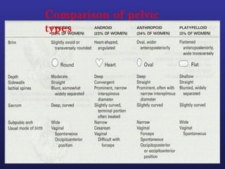 Comparison of pelvic
types
 