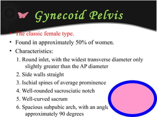 Gynecoid Pelvis
• The classic female type.
• Found in approximately 50% of women.
• Characteristics:
1. Round inlet, with the widest transverse diameter only
slightly greater than the AP diameter
2. Side walls straight
3. Ischial spines of average prominence .
4. Well-rounded sacrosciatic notch
5. Well-curved sacrum
6. Spacious subpubic arch, with an angle of
approximately 90 degrees
 