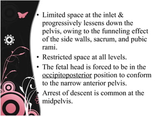 • Limited space at the inlet &
progressively lessens down the
pelvis, owing to the funneling effect
of the side walls, sacrum, and pubic
rami.
• Restricted space at all levels.
• The fetal head is forced to be in the
occipitoposterior position to conform
to the narrow anterior pelvis.
• Arrest of descent is common at the
midpelvis.
 