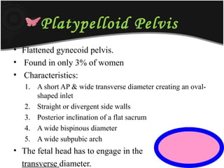 Platypelloid Pelvis
• Flattened gynecoid pelvis.
• Found in only 3% of women
• Characteristics:
1. A short AP & wide transverse diameter creating an oval-
shaped inlet
2. Straight or divergent side walls
3. Posterior inclination of a flat sacrum
4. A wide bispinous diameter
5. A wide subpubic arch
• The fetal head has to engage in the
transverse diameter.
 