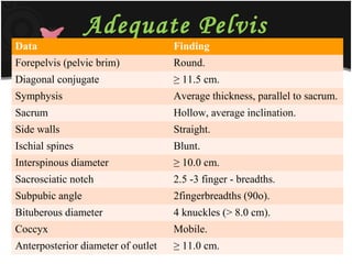Adequate Pelvis
Data Finding
Forepelvis (pelvic brim) Round.
Diagonal conjugate ≥ 11.5 cm.
Symphysis Average thickness, parallel to sacrum.
Sacrum Hollow, average inclination.
Side walls Straight.
Ischial spines Blunt.
Interspinous diameter ≥ 10.0 cm.
Sacrosciatic notch 2.5 -3 finger - breadths.
Subpubic angle 2fingerbreadths (90o).
Bituberous diameter 4 knuckles (> 8.0 cm).
Coccyx Mobile.
Anterposterior diameter of outlet ≥ 11.0 cm.
 