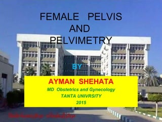 FEMALE PELVIS
AND
PELVIMETRY
AYMAN SHEHATA
MD Obstetrics and Gynecology
TANTA UNIVRSITY
2015
BY
 