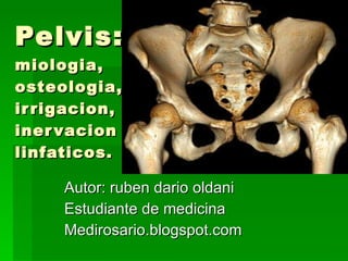 Pelvis:  miologia, osteologia, irrigacion, inervacion y  linfaticos. Autor: ruben dario oldani Estudiante de medicina Medirosario.blogspot.com 