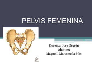 PELVIS FEMENINA
Docente: Jose Negrón
Alumno:
Magno I. Manzaneda Pilco
 