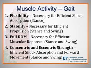 Muscle Activity – Gait
1. Flexibility – Necessary for Efficient Shock
Absorption (Stance)
2. Stability – Necessary for Efficient
Propulsion (Stance and Swing)
3. Full ROM – Necessary for Efficient
Muscular Reponses (Stance and Swing)
4. Concentric and Eccentric Strength –
Efficient Shock Absorption and Forward
Movement (Stance and Swing)
 