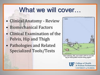 What we will cover…
• Clinical Anatomy - Review
• Biomechanical Factors
• Clinical Examination of the
Pelvis, Hip and Thigh
• Pathologies and Related
Specialized Tools/Tests
 