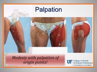 Palpation
Modesty with palpation of
origin points!
 