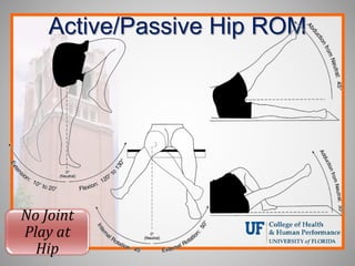 Active/Passive Hip ROM
No Joint
Play at
Hip
 