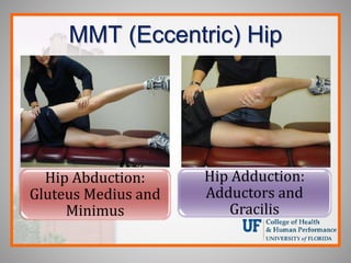 MMT (Eccentric) Hip
Hip Abduction:
Gluteus Medius and
Minimus
Hip Adduction:
Adductors and
Gracilis
 