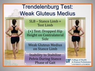 Trendelenburg Test:
Weak Gluteus Medius
SLB – Stance Limb =
Test Limb
(+) Test: Dropped Hip
Height on Contralateral
Side
Weak Gluteus Medius
on Stance Limb
Inability to Stabilize
Pelvis During Stance
Phase of Gait
 