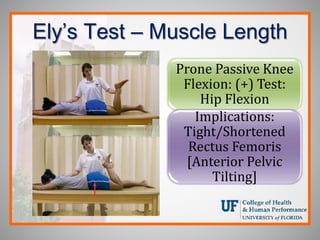 Ely’s Test – Muscle Length
Prone Passive Knee
Flexion: (+) Test:
Hip Flexion
Implications:
Tight/Shortened
Rectus Femoris
[Anterior Pelvic
Tilting]
 