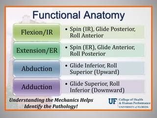 Functional Anatomy
• Spin (IR), Glide Posterior,
Roll Anterior
Flexion/IR
• Spin (ER), Glide Anterior,
Roll Posterior
Extension/ER
• Glide Inferior, Roll
Superior (Upward)
Abduction
• Glide Superior, Roll
Inferior (Downward)
Adduction
Understanding the Mechanics Helps
Identify the Pathology!
 