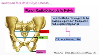 pelvis materna.pptx....................... | PPTX