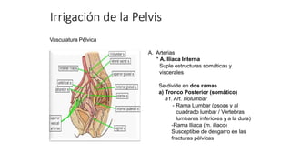 Vasculatura Pélvica
A. Arterias
* A. Iliaca Interna
Suple estructuras somáticas y
viscerales
Se divide en dos ramas
a) Tronco Posterior (somático)
a1. Art. Iliolumbar
- Rama Lumbar (psoas y al
cuadrado lumbar / Vertebras
lumbares inferiores y a la dura)
-Rama Iliaca (m. iliaco)
Susceptible de desgarro en las
fracturas pélvicas
Irrigación de la Pelvis
 
