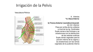 Vasculatura Pélvica
A. Arterias
* A. Iliaca Interna
b) Tronco Anterior (somático/visceral)
b2- Art. Uterina:
Pasa por arriba de los uréteres
a nivel de los lig. Cardinales
Suple ramas a las trompas y se
anastomosa con la distribución
de las arterias ováricas
Suple ramas vaginales para la
porción interna de la vagina y
se anastomosa con las ramas
vaginales de la pudenda interna
Irrigación de la Pelvis
 