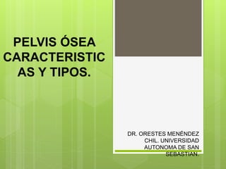 PELVIS ÓSEA
CARACTERISTIC
AS Y TIPOS.
DR. ORESTES MENÉNDEZ
CHIL. UNIVERSIDAD
AUTONOMA DE SAN
SEBASTIAN.
 