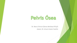 Dr. Marco Vinicio Gálvez Mendoza R1GyO
Asesor; Dr. Arturo Llanes Castillo
 