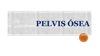 PELVIS ÓSEA
 