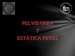 PELVIS OSEA
Y
ESTÁTICA FETAL
 