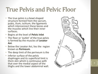 True Pelvis and Pelvic Floor
7
• The true pelvis is a bowl-shaped
structure formed from the sacrum,
pubis, ilium, ischium, the ligaments
which interconnect these bones and
the muscles which line their inner
surfaces.
• Begins at the level of Pelvic Inlet
• The floor or ‘outlet’ of the true pelvis
is formed by the muscles of Levator
Ani.
• Below the Levator Ani, lies the region
known as Perineum.
• The deep limit of the perineum is the
• inferior surface of the pelvic
diaphragm and its superficial limit is
them skin which is continuous with
that over the medial aspect of the
thighs and the lower abdominal wall.
 