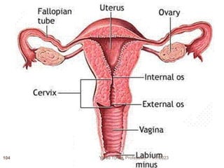 1/7/2023
Yared T(Ass. Professor)
104
 