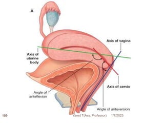 109 1/7/2023
Yared T(Ass. Professor)
 