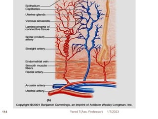 114 1/7/2023
Yared T(Ass. Professor)
 