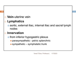 115
 Vein-uterine vein
 Lymphatics
 aortic, external iliac, internal iliac and sacral lymph
nodes
 Innervation
 from inferior hypogastric plexus
 parasympathetic - pelvic splanchnic
 sympathetic – symphatetic trunk
1/7/2023
Yared T(Ass. Professor)
 