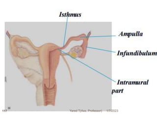 1/7/2023
Yared T(Ass. Professor)
117
 