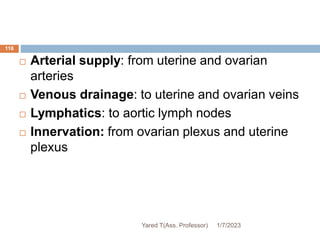 118
 Arterial supply: from uterine and ovarian
arteries
 Venous drainage: to uterine and ovarian veins
 Lymphatics: to aortic lymph nodes
 Innervation: from ovarian plexus and uterine
plexus
1/7/2023
Yared T(Ass. Professor)
 