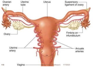 1/7/2023
Yared T(Ass. Professor)
119
 